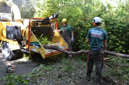 tree services Glasford